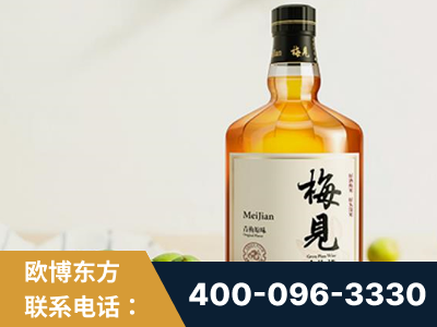 南宁-梅见青梅酒